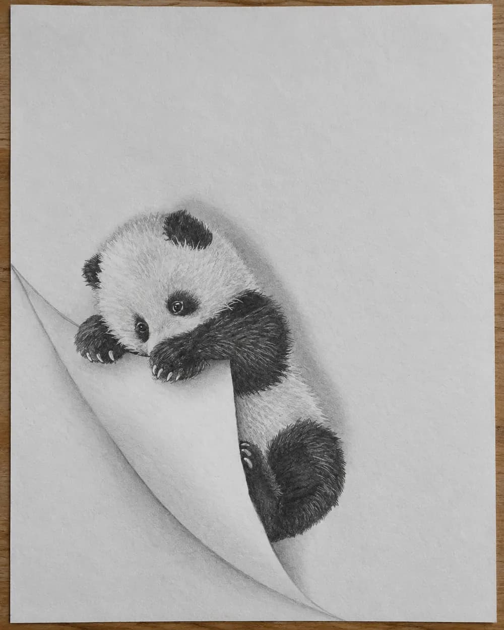 Module 2: The Climbing Panda