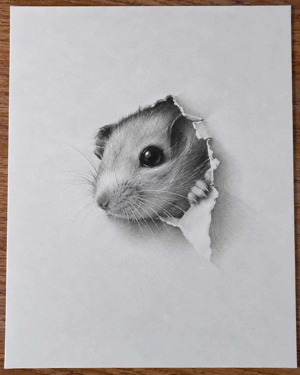 Module 5: The Peeking Mouse